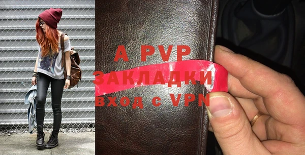 apvp Богородицк