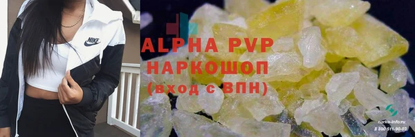 apvp Богородицк